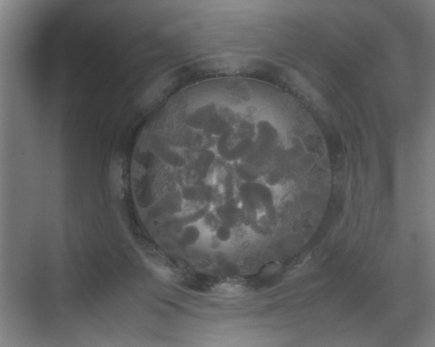 X0000072520119200607141208