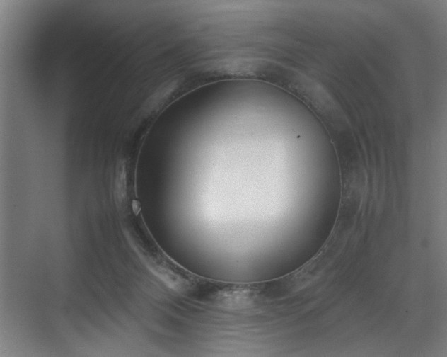 X0000072520120200607141208