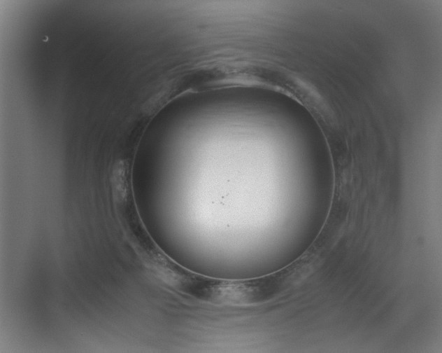 X0000072520121200607141208