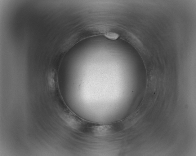 X0000072520122200607141208