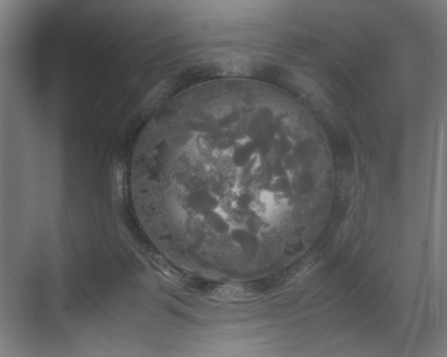 X0000072520123200607141208