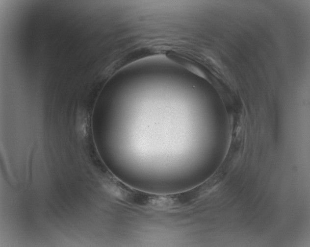 X0000072520125200607141208