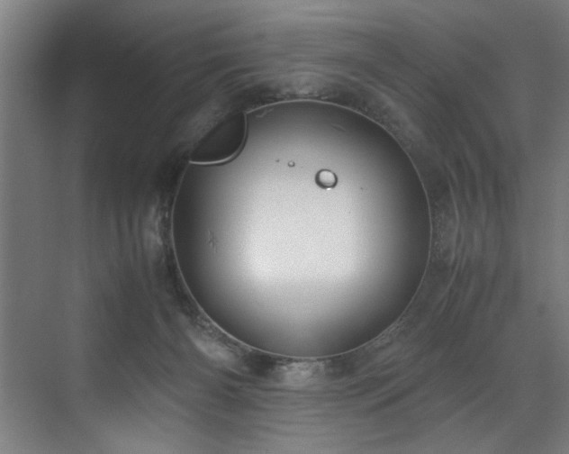 X0000072520126200607141208