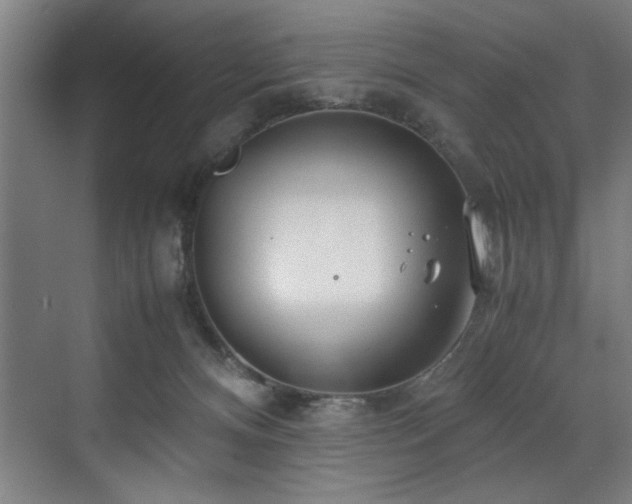 X0000072520128200607141208