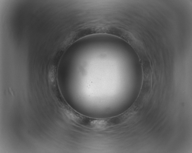 X0000072520133200607141208