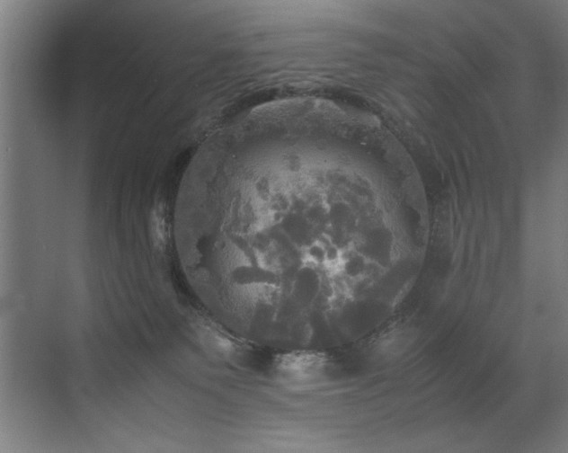 X0000072520135200607141208