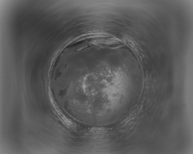 X0000072520145200607141207