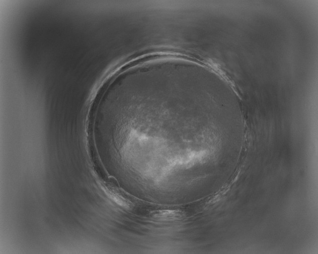 X0000072520151200607141207