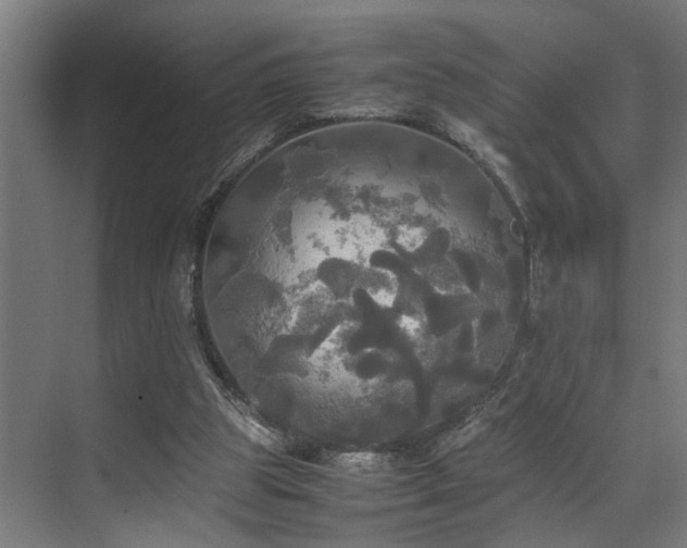 X0000072520153200607141207