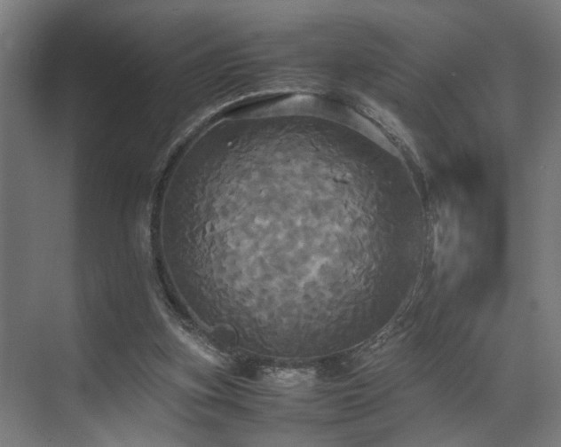 X0000072520155200607141207