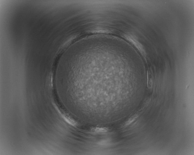 X0000072520157200607141207