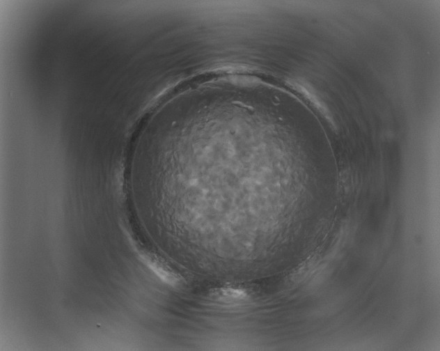 X0000072520159200607141207