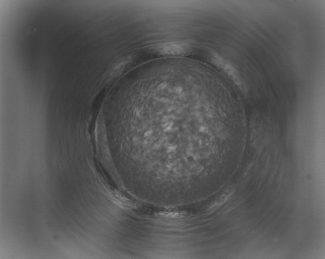 X0000072520161200607141207