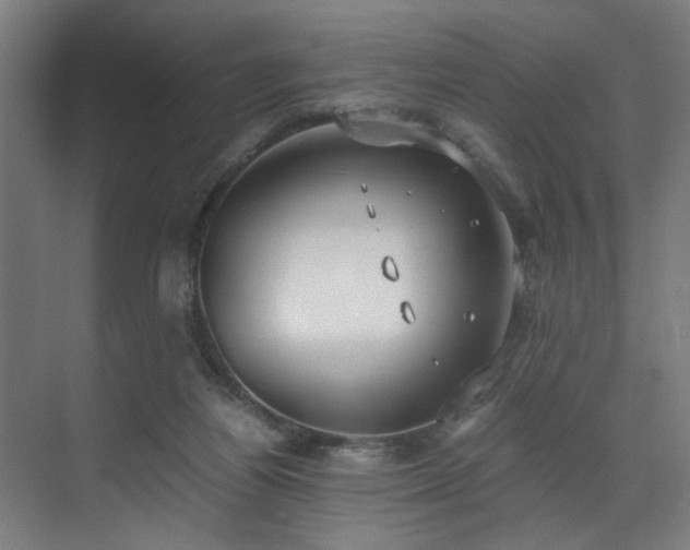 X0000072520164200607141207