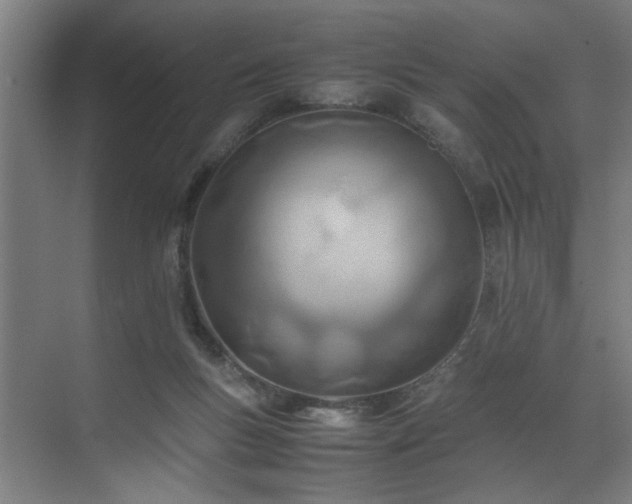 X0000072520167200607141207