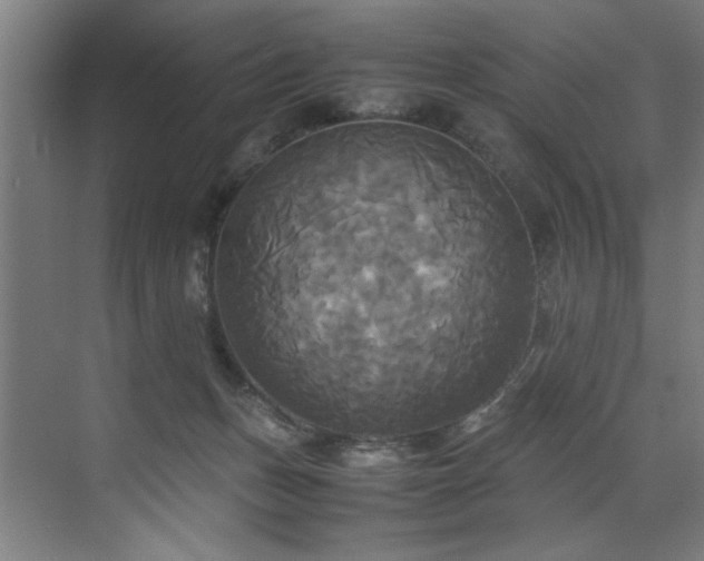 X0000072520175200607141207