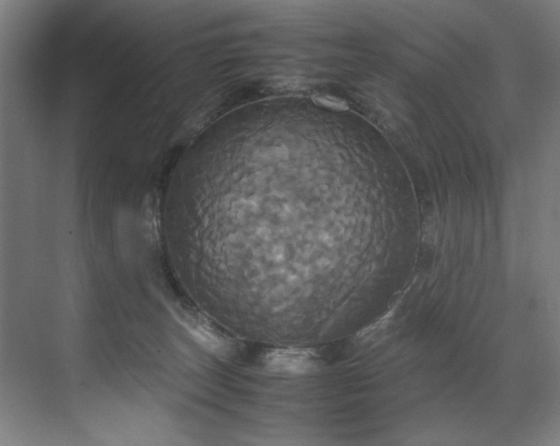 X0000072520179200607141207