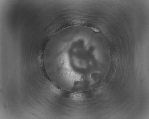 X0000072520181200607141207