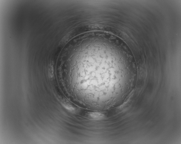 X0000072520183200607141207