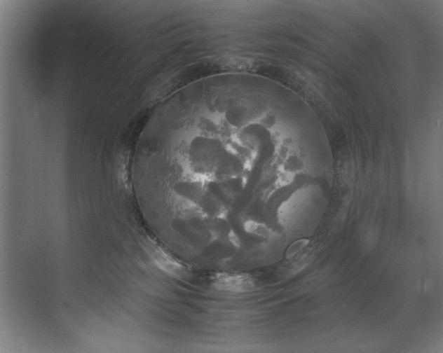 X0000072520185200607141207