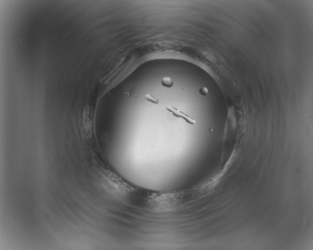 X0000072520186200607141207