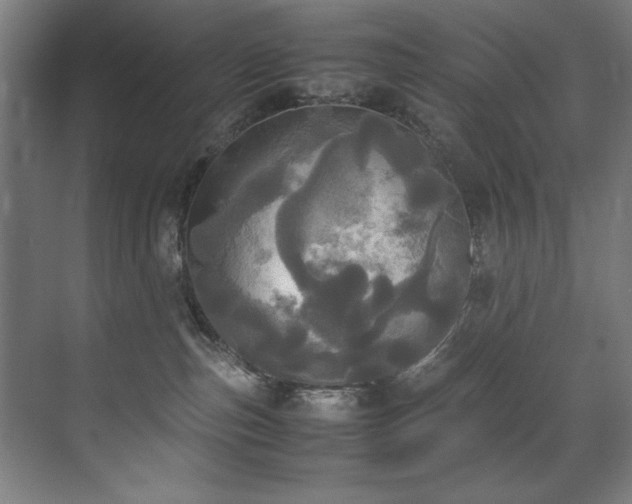 X0000072520187200607141207