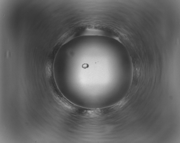 X0000072520188200607141207