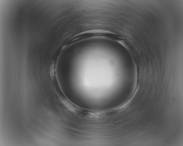 X0000072520190200607141207