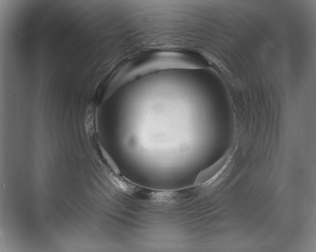 X0000072520192200607141207