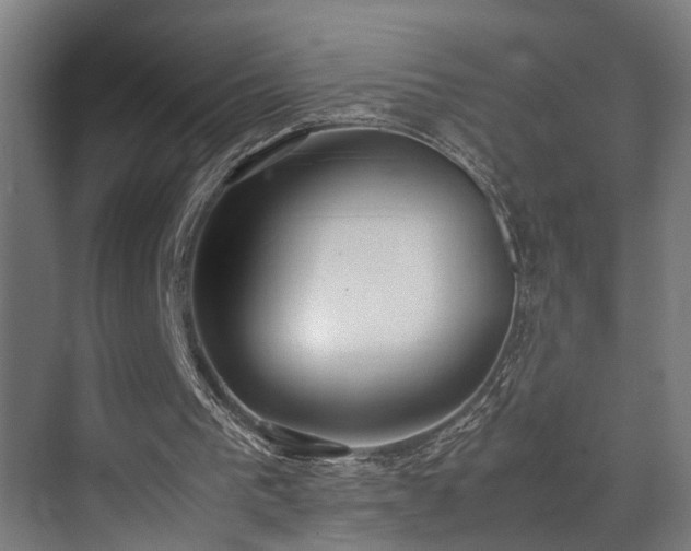 X0000072520193200607141207