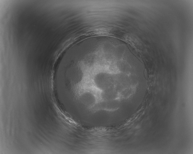 X0000072520194200607141207