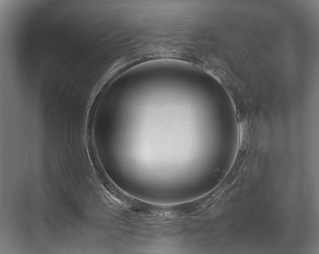 X0000072520195200607141207