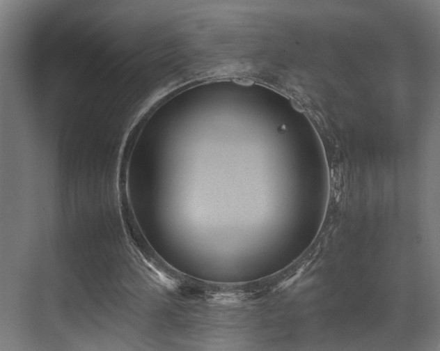 X0000072520196200607141207