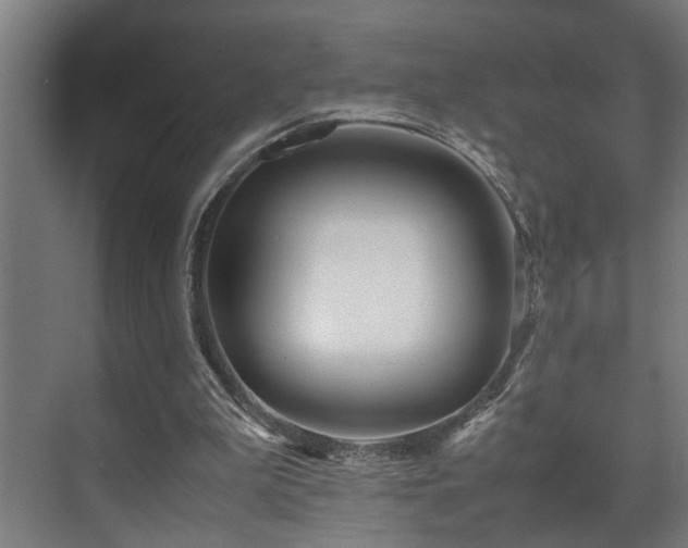 X0000072520199200607141206