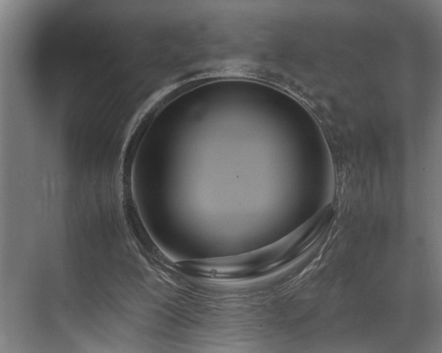 X0000072520200200607141206