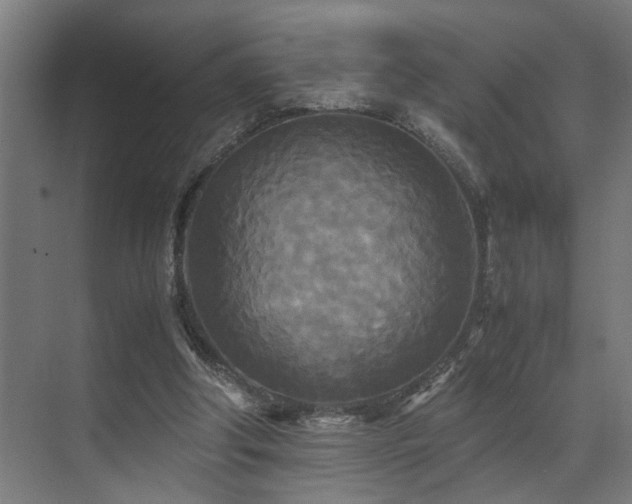 X0000072520202200607141206