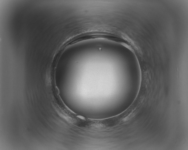 X0000072520203200607141206