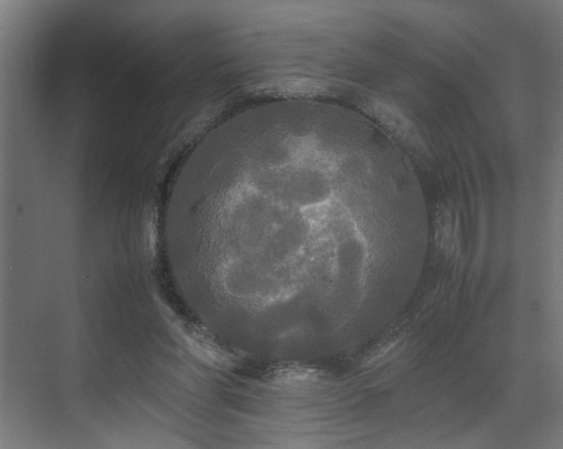 X0000072520206200607141206