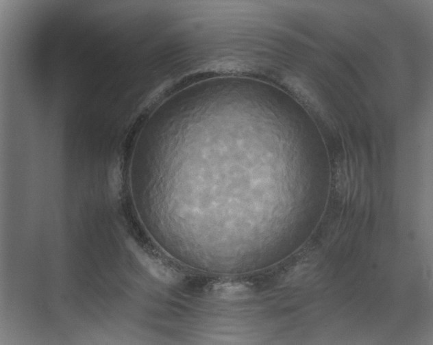 X0000072520208200607141206