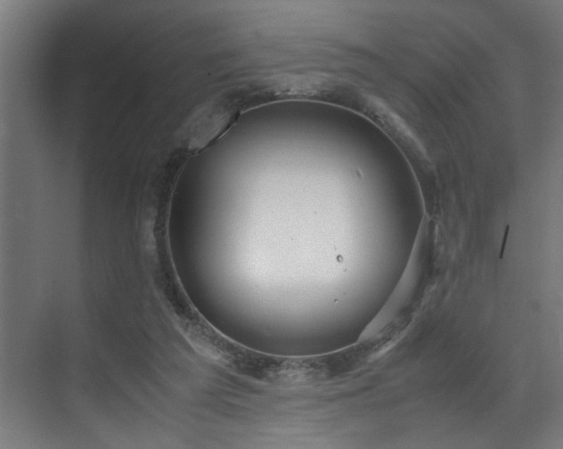 X0000072520209200607141206