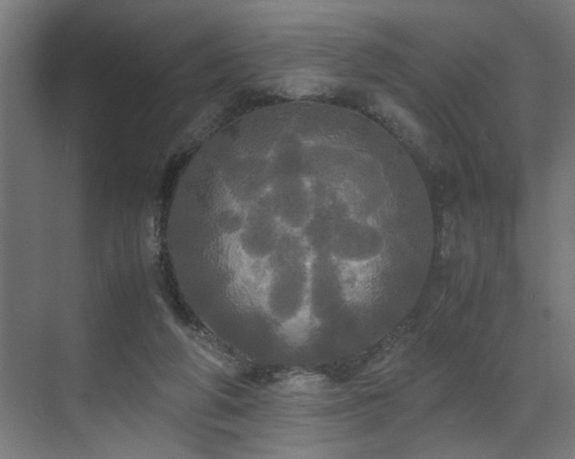 X0000072520210200607141206