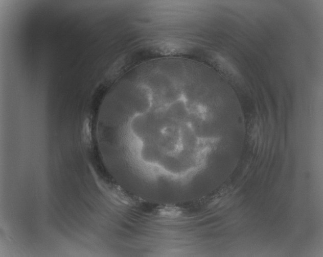 X0000072520214200607141206