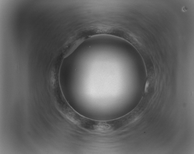 X0000072520215200607141206