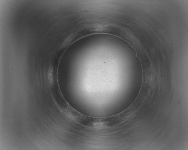 X0000072520216200607141206