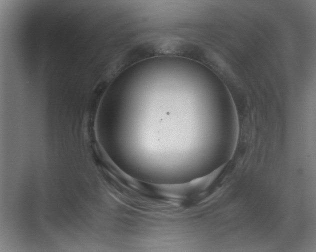 X0000072520217200607141206