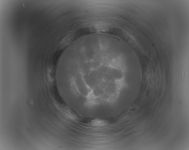 X0000072520218200607141206