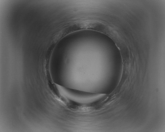 X0000072520219200607141206