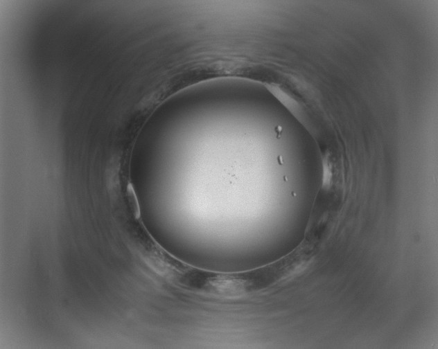 X0000072520221200607141206