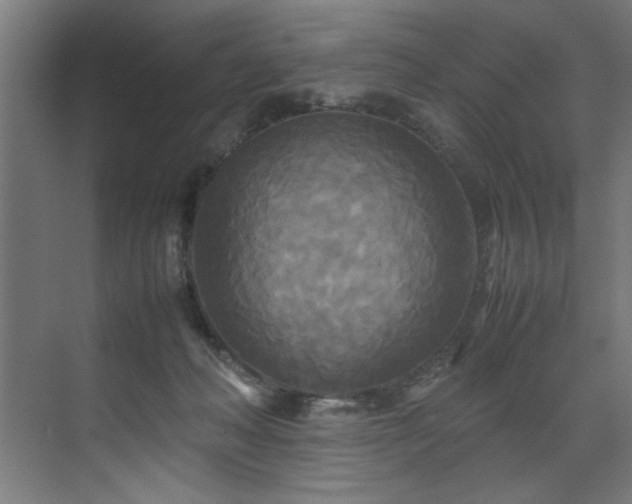 X0000072520222200607141206