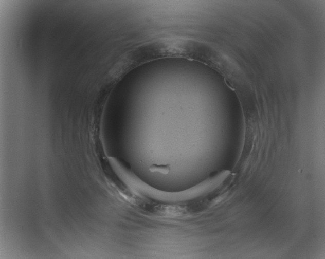 X0000072520223200607141206